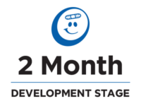 Development Stage – 2 Months
